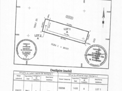 Walter Maracineanu, Jud Giurgiu